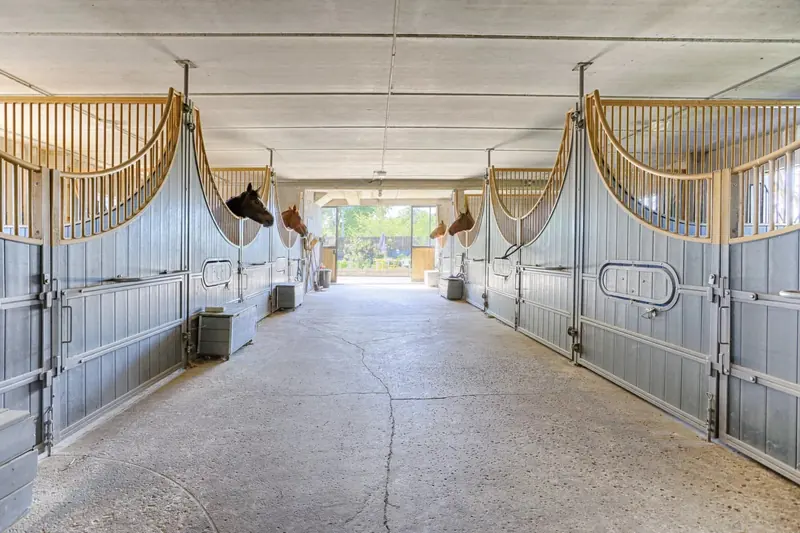 Intérieur de l'écurie : chevaux passant la tête au-dessus des portes de boxes bordées de grilles en bois clair, allée bétonnée centrale.