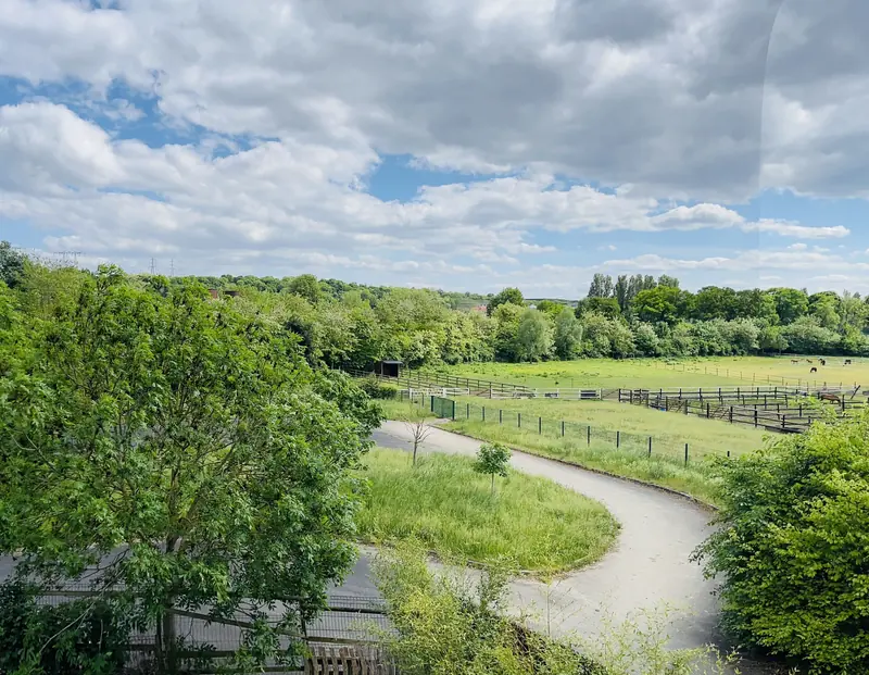 Vue prise depuis une fenêtre de l'étage sur le chemin, les prairies clôturées et la ligne d'arbres à l'horizon.